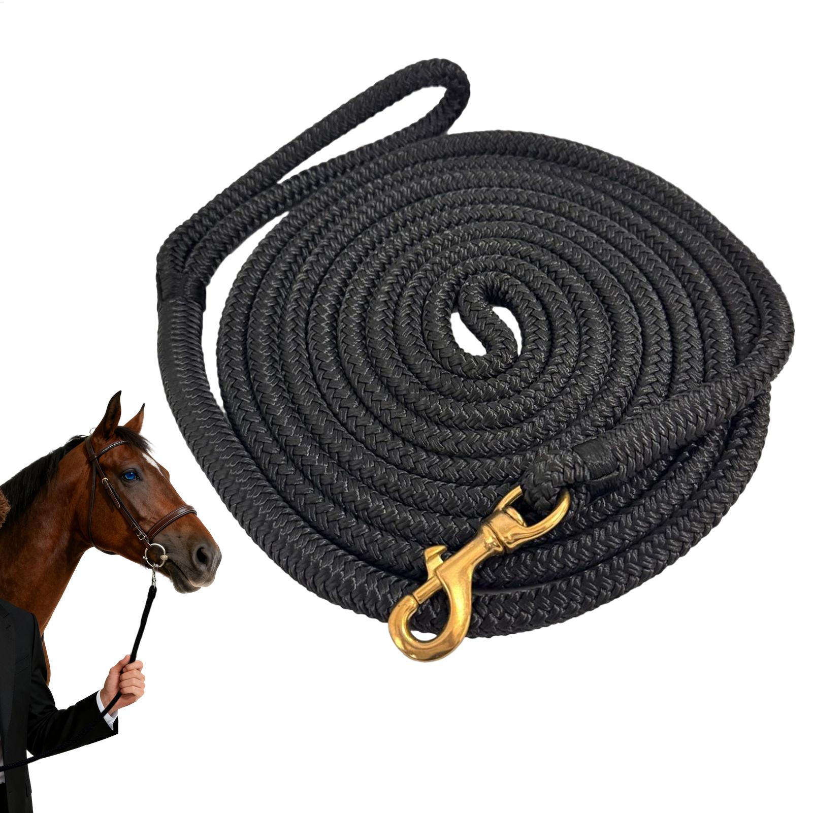 Lunge Line Horse - Longe d'entraînement pour chevaux, laisse d'équitation