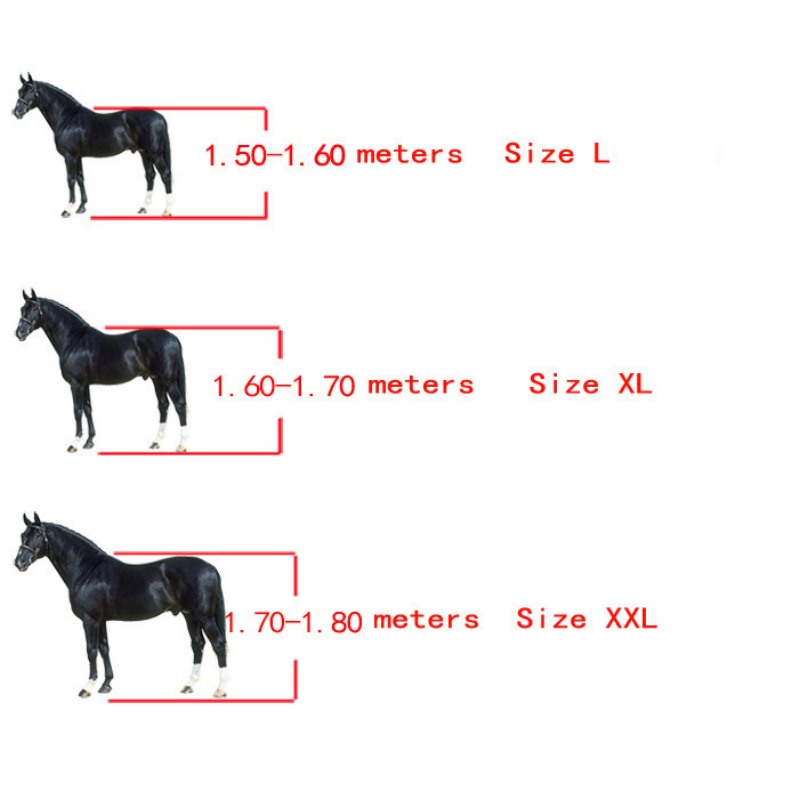 Protège-tendons ouverts pour c - Lunge Line Horse avis et prix